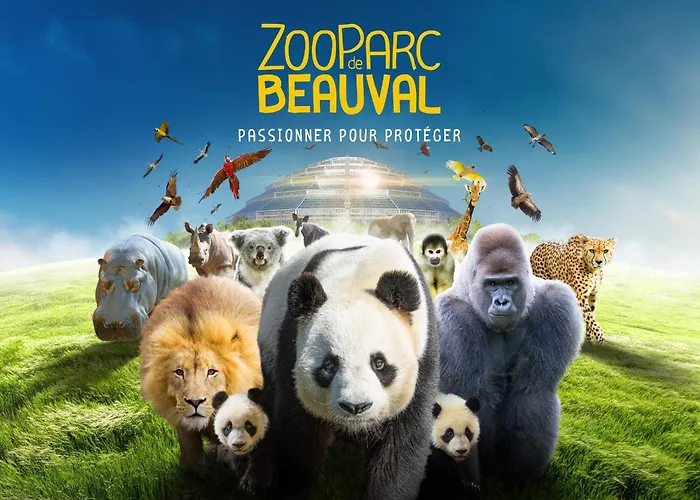 Ecrin Romantique,7Studios,3Km Du Zoo!
