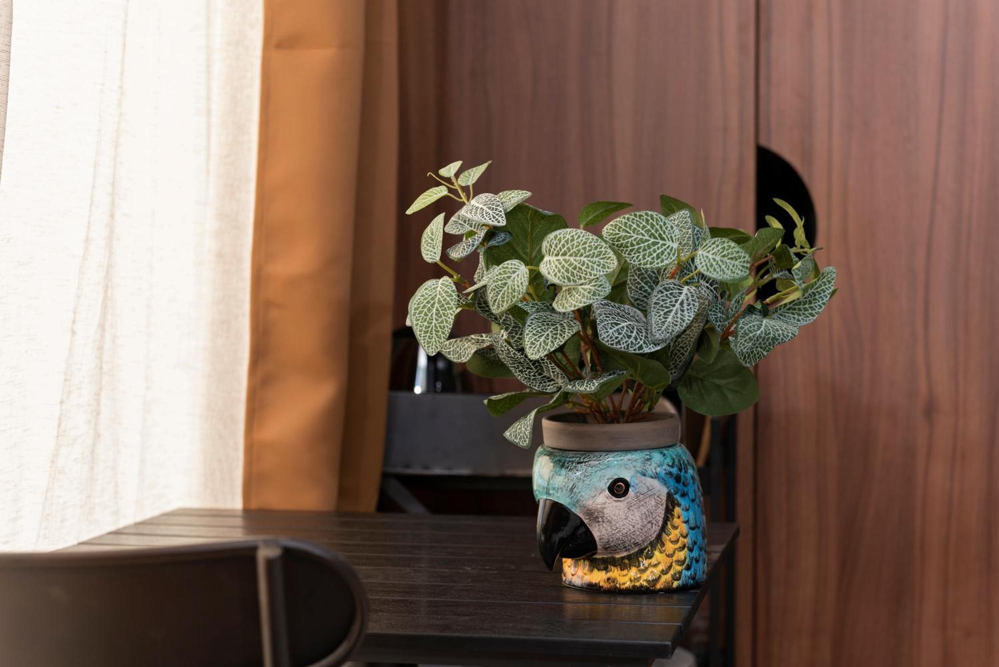 Ecrin Romantique,7studios,3km Du Zoo! Apartment